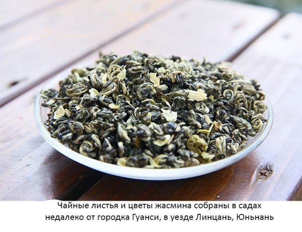 зеленый чай с жасмином Би Ло Чунь 09 Натуральный зеленый чай с жасмином Би Ло Чунь, органический китайский чай
